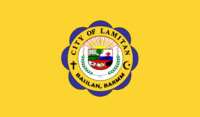 Kingston flag image preview