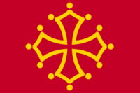 Neuquén flag image preview