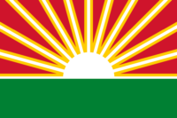 Pärnu County flag image preview
