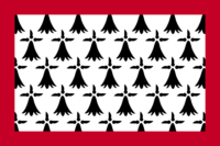 Cross of Burgundy flag image preview