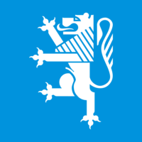 Neuquén flag image preview