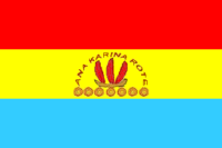 Manizales flag image preview