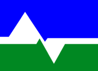 Dundee flag image preview