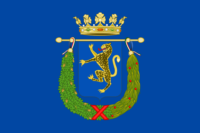 Fuerteventura flag image preview