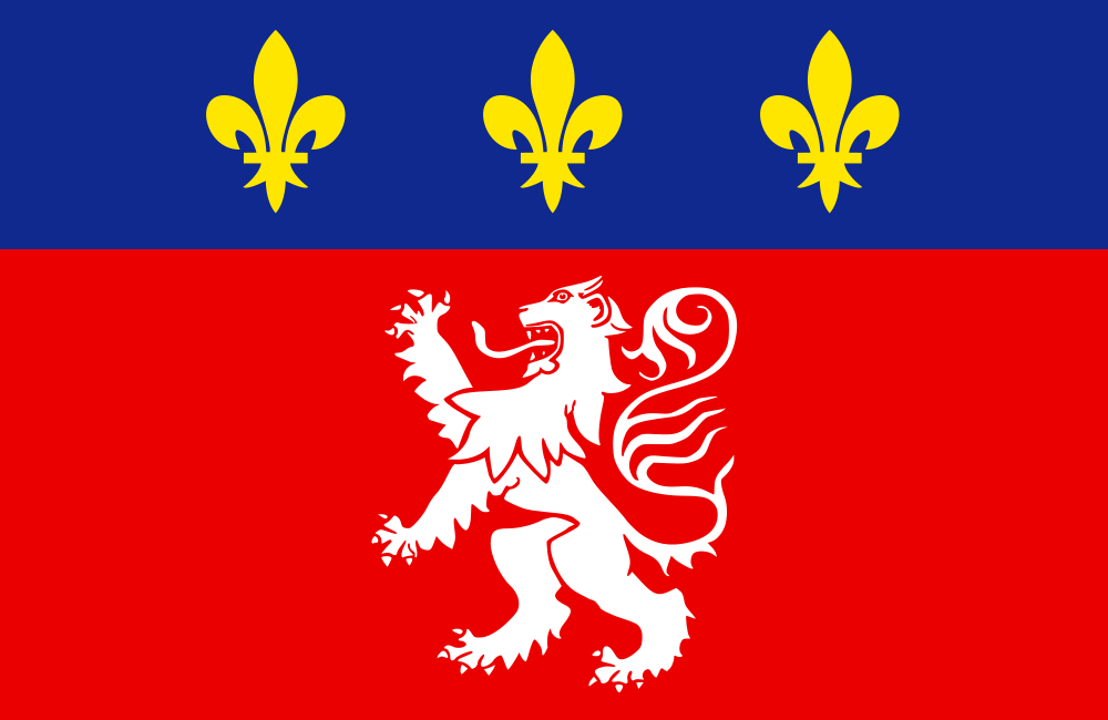 Lyonnais flag image preview