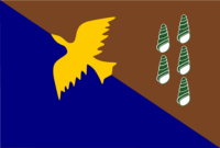 Amazonas (Venezuela) flag image preview
