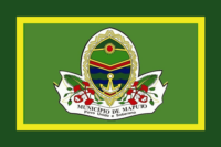 Riga flag image preview