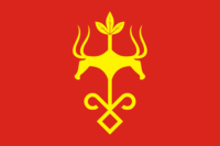 Perth flag image preview