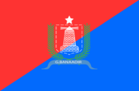 Arlington flag image preview