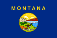 North Dakota flag image preview