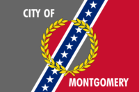 Stockton flag image preview