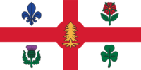 Puerto Carreño flag image preview