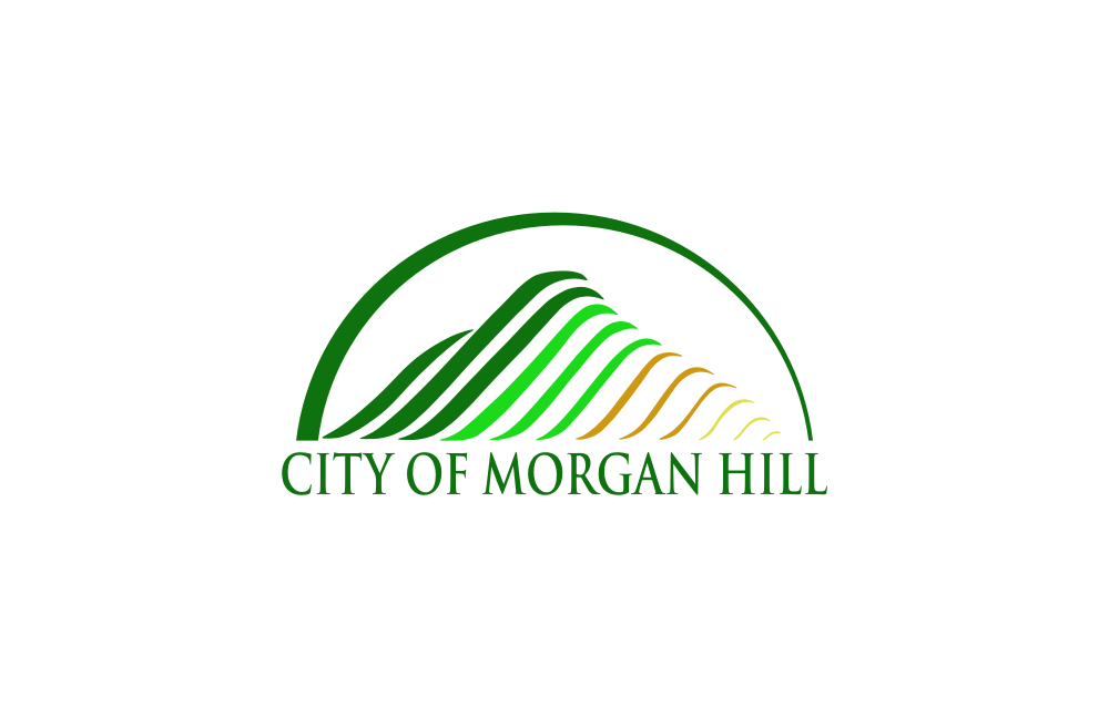Morgan Hill flag image preview