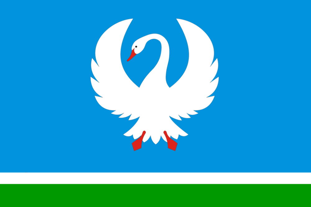 Namsky District flag image preview