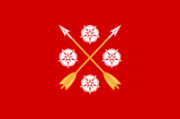 Vichada flag image preview