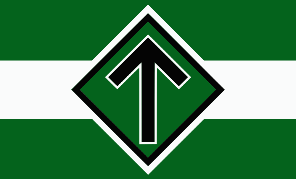 Nordic Resistance Movement (Since 1997) flag image preview
