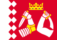 Pskov Oblast flag image preview