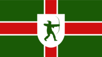 Tynaarlo flag image preview