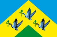Salem flag image preview