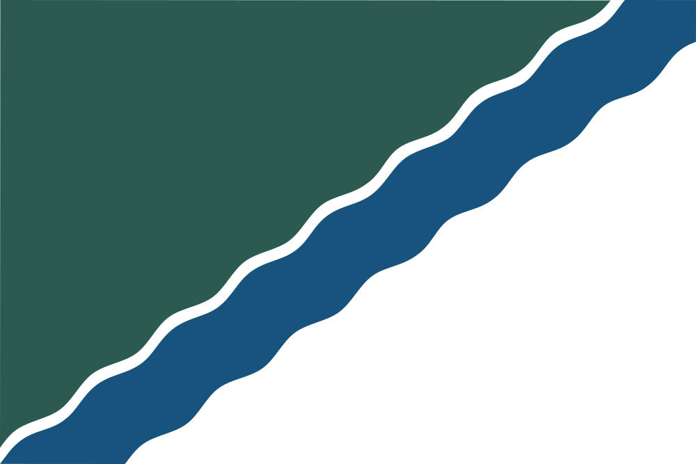 Novosibirsk flag image preview