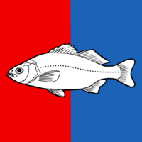 Jayuya flag image preview
