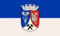 Richland flag image preview