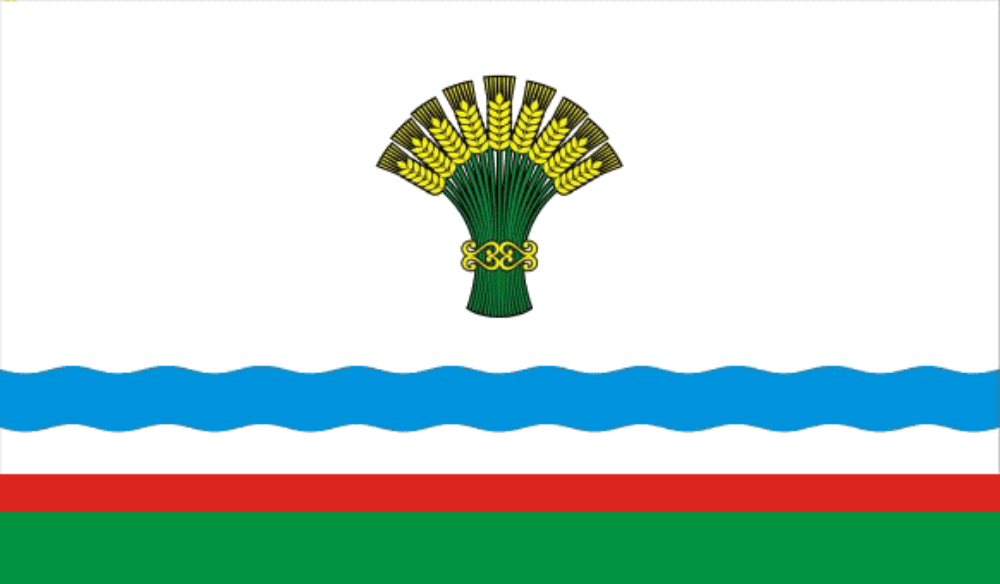 Olyokminsky District flag image preview