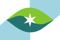 Bryansk flag image preview