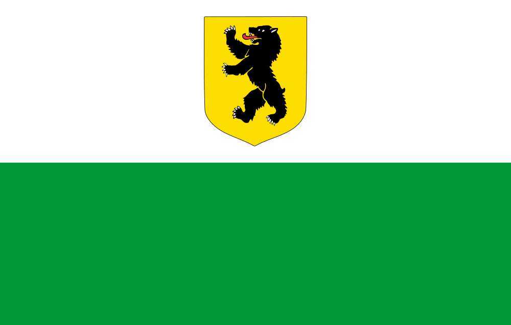 Pärnu County Original flag