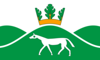 Bahia flag image preview