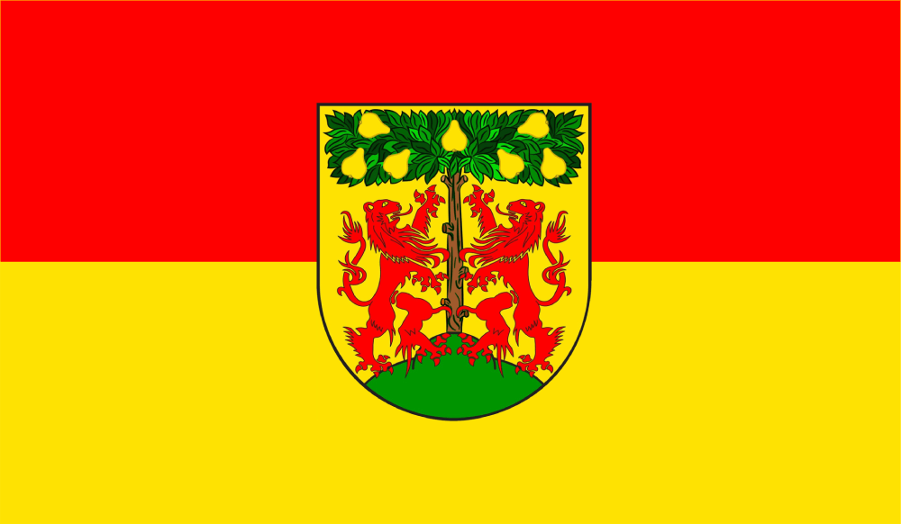 Pirna flag image preview