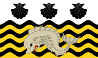 São Paulo flag image preview