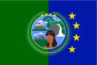 Caracas flag image preview