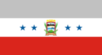 Popayán flag image preview