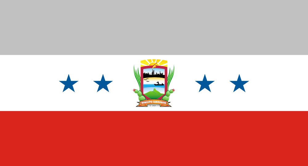 Punto Fijo flag image preview