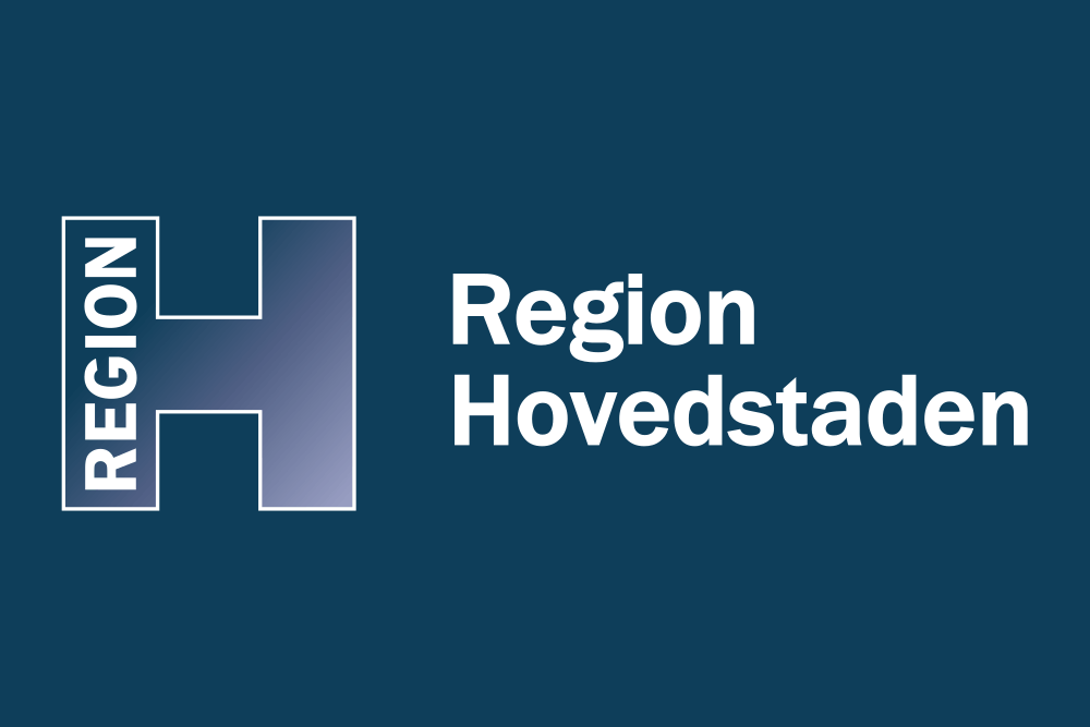 Region Hovedstaden flag image preview
