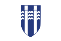 Arlington flag image preview