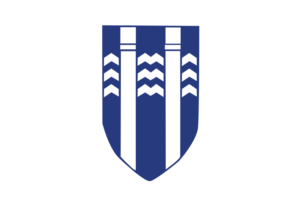 Reykjavík flag image preview
