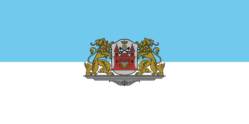 Riga flag image preview