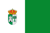 Neuquén flag image preview