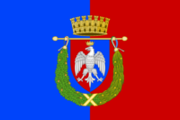 Bodegraven-Reeuwijk flag image preview