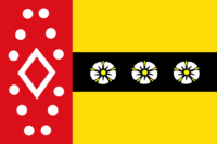 Banten flag image preview