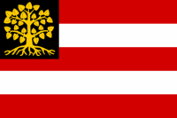 Furth flag image preview