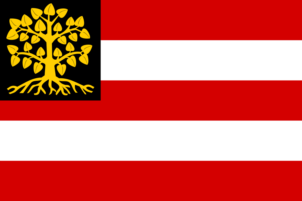 s-Hertogenbosch flag image preview