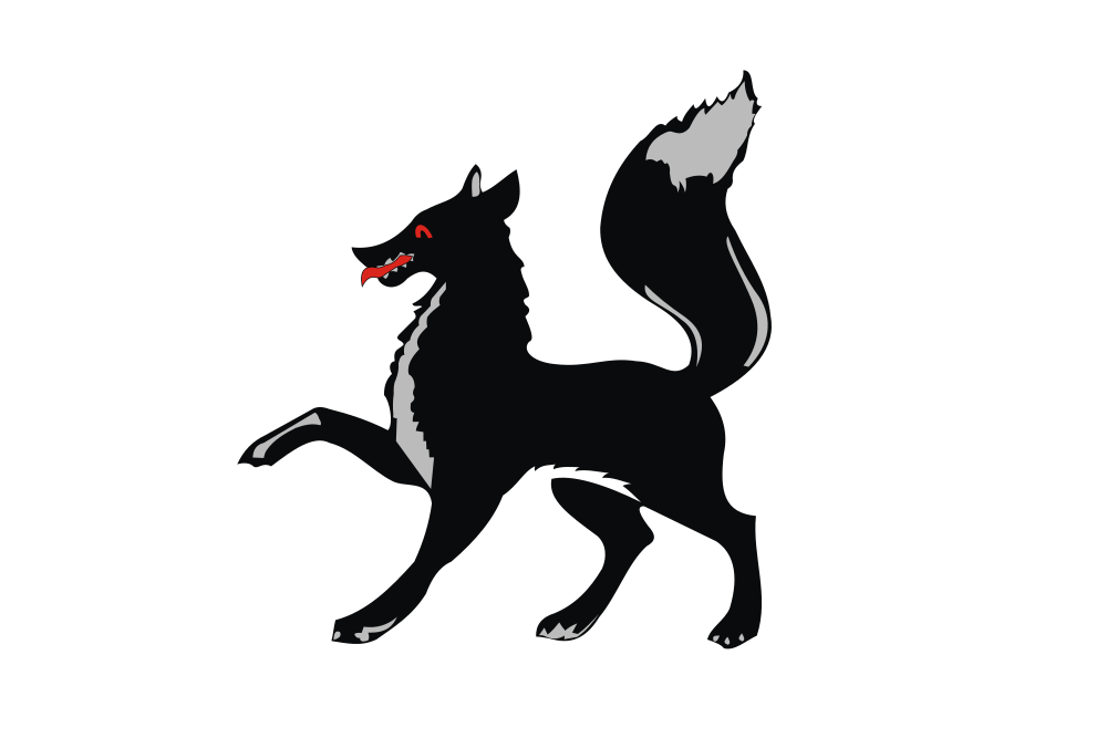 Salekhard flag image preview