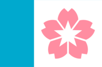 San José del Guaviare flag image preview