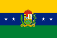Villavicencio flag image preview