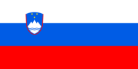 Bosnia and Herzegovina flag image preview