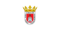 Torreón flag image preview