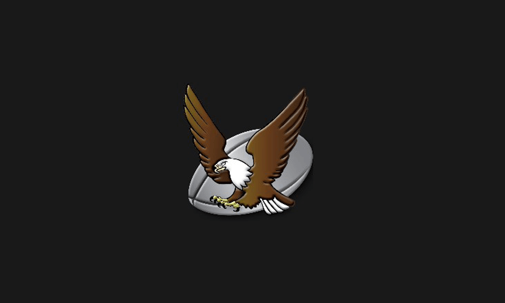 South Western Districts Eagles flag image preview